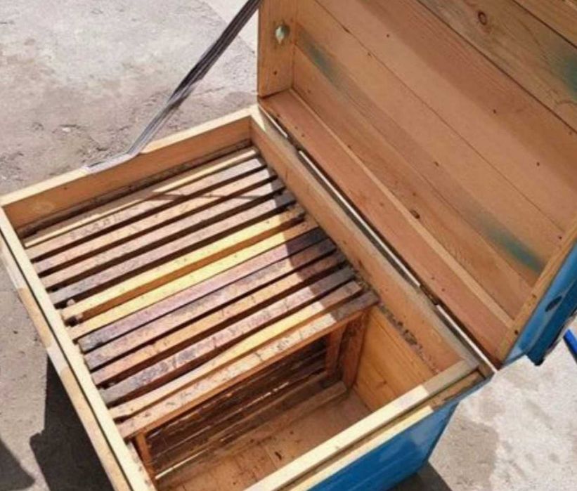 Asalari uyalari sotiladi.