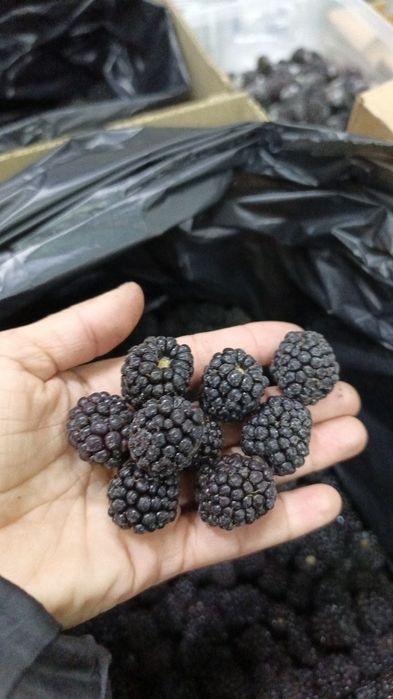 Ежевика замороженный ежевика