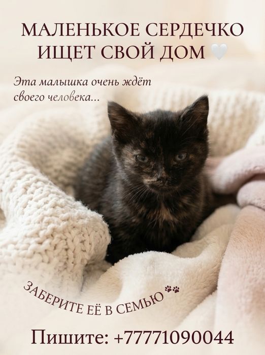 Маленькая девочка ищет свой дом