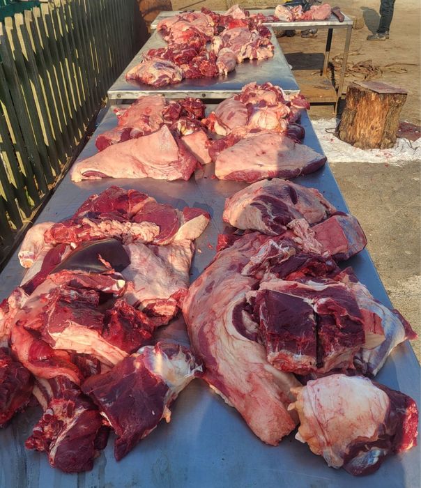 Жылқы еті Мясо конина Жілік