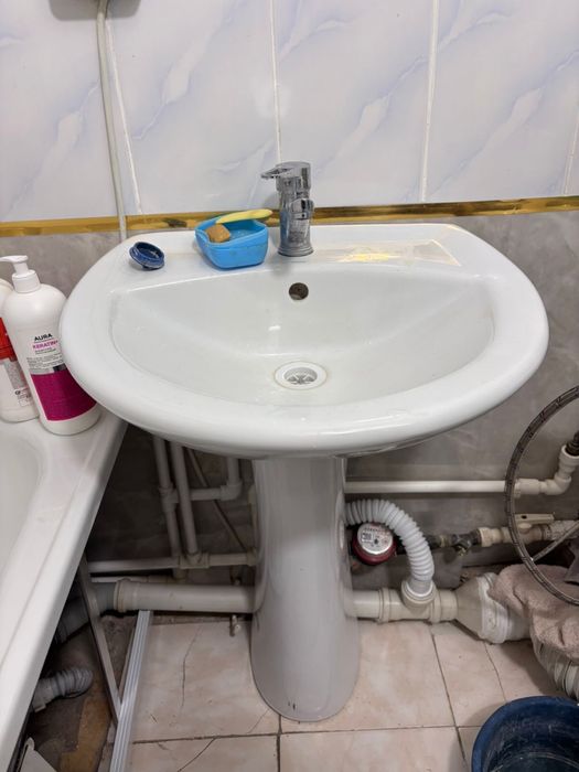 Раковина тюльпан