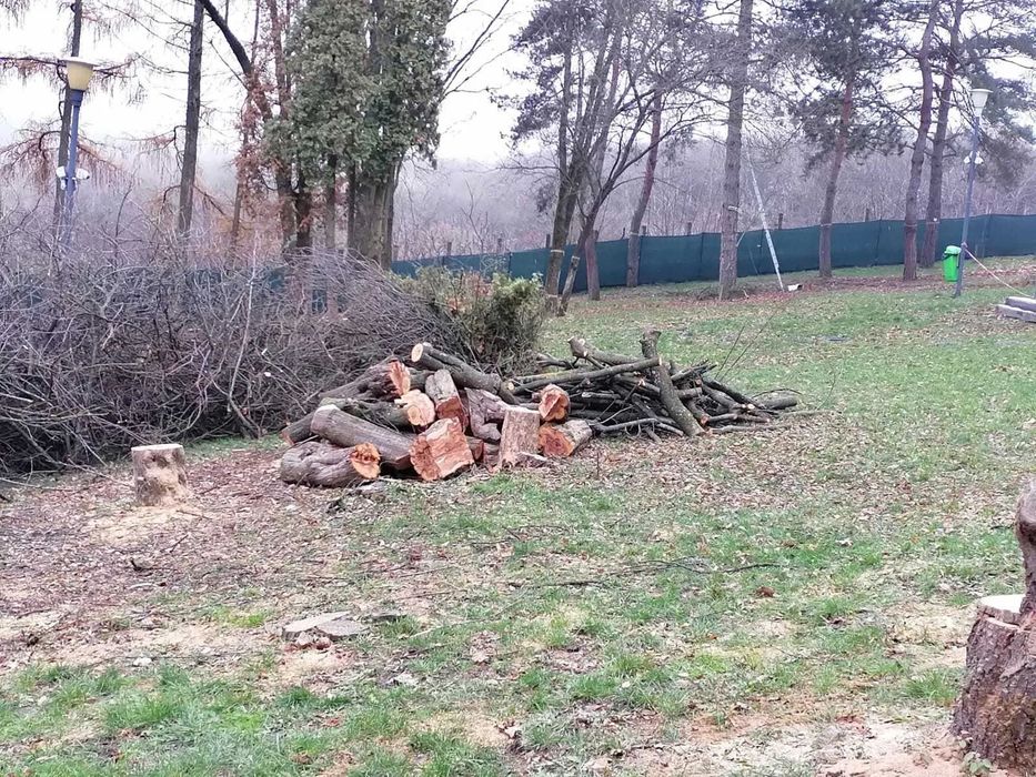 Defrisari, cosit , tuns , intretinere spatii verzi. Oferim o gama larga de servicii!