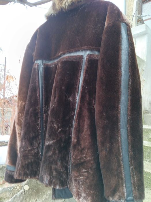 Луксозно кожено палто от тюлен с яка от енот – уникат, ръчно шито яке