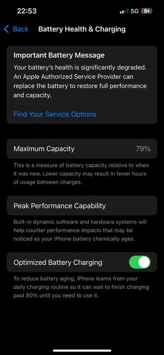 iPhone 16 Pro Max сост идеал