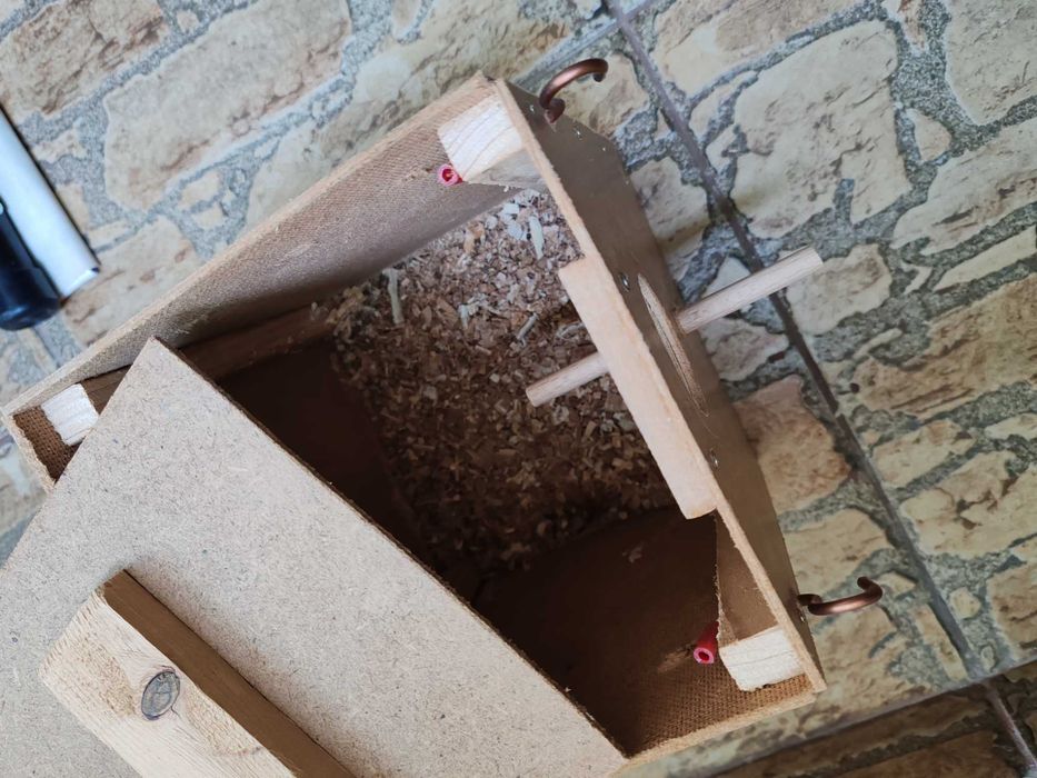 Doi peruși jucăuși + cuib, semințe și jucării