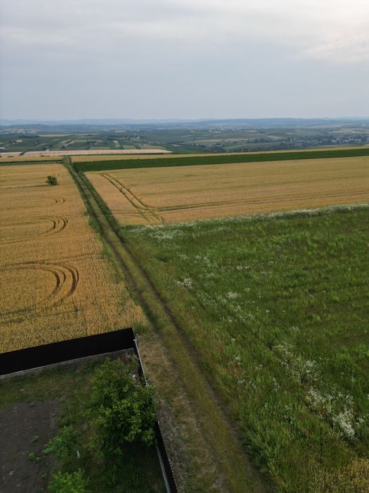 Teren de vânzare – 2.800 mp – între Frumoasa și Liteni