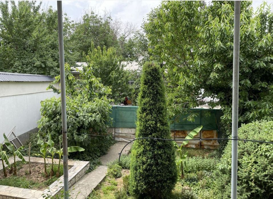 БИИ Салом ресторан 7 соток