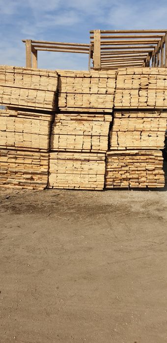 Cherestea rășinoasa