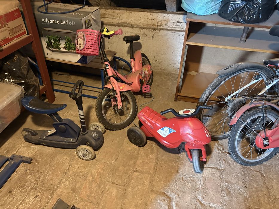 Biciclete trotinete copii