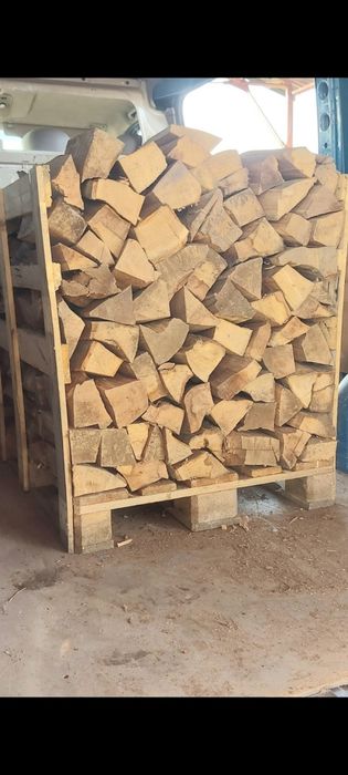 Vind Lemne de foc USCATE Fag Paletat