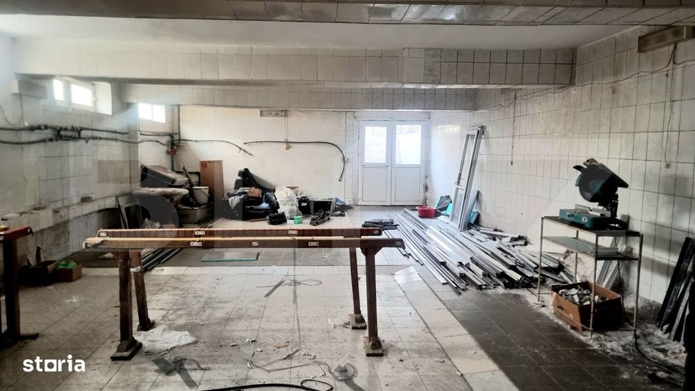 Spatiu mixt business + locuinta | 420 mp utili | D+P+M | Acces camion