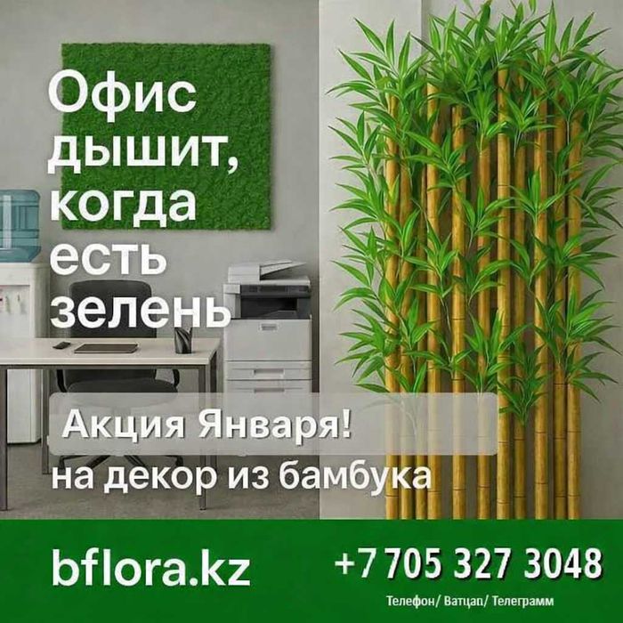 Озеленение офиса живыми растениями под ключ. Флорист + обслуживание!!!