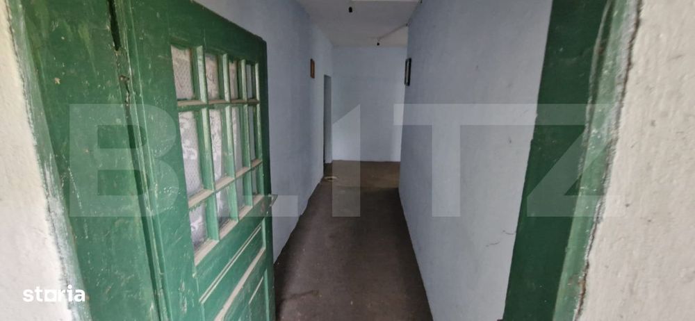 Domeniu polivalent, ideal pentru 2 familii / afacere, 300 mp, zona Sud