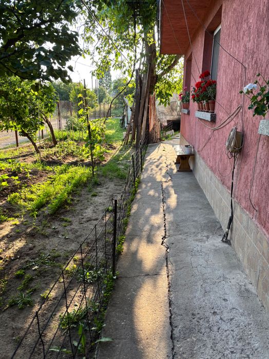 Дава се под наем Къща в София, Левски - 50 кв.м за 204 € - Снимка #7