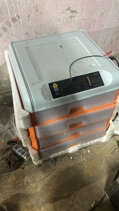 Инкубатор  для яиц