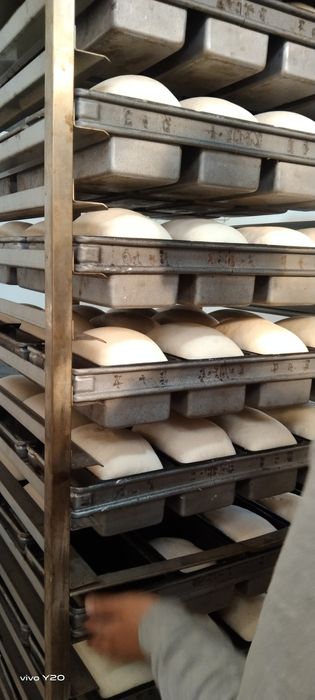 Ротационная печь Panemor PM 60 HG новая