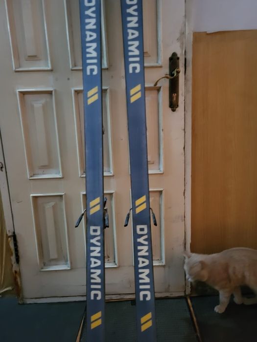 Продам лыжи Dynamic