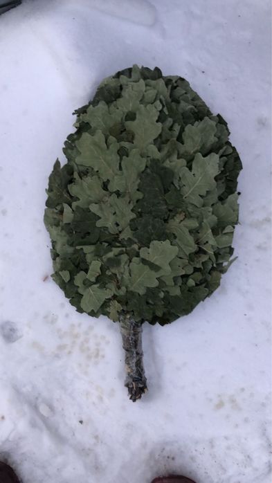 Свежие банные веники