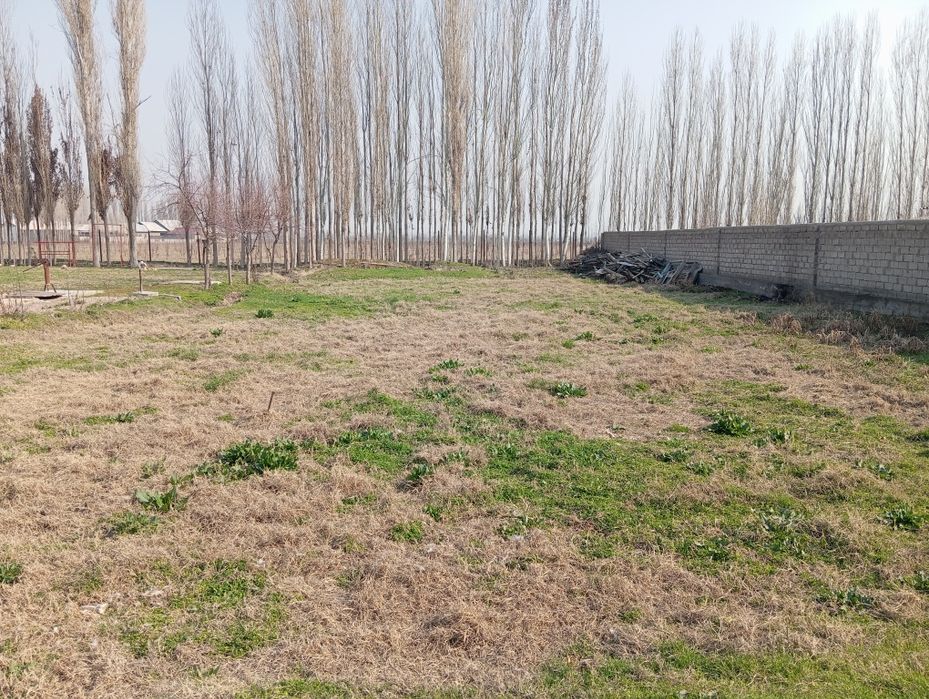 Mamut UY yer sotiladi