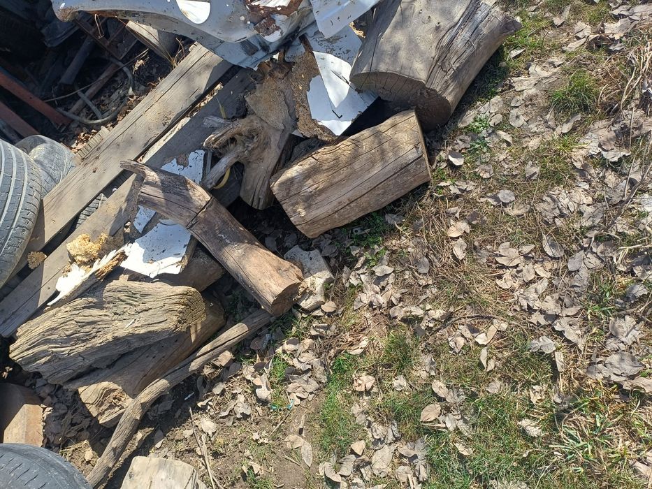 Доски и пеньки на дрова самовывоз