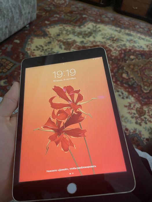 Ipad mini 3 gner