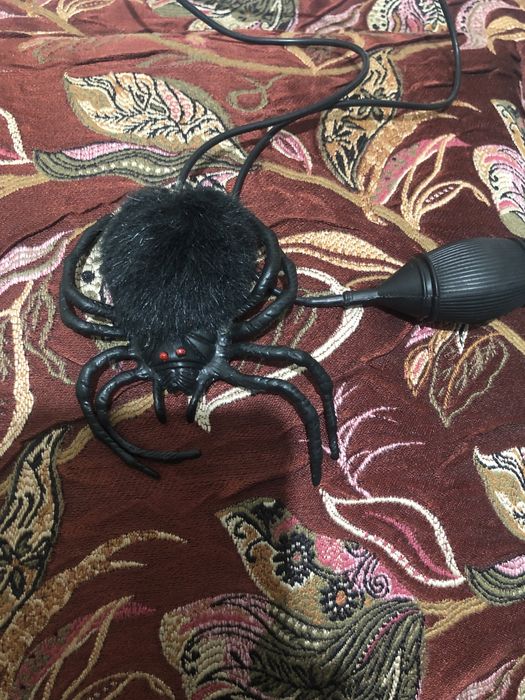 Паук и таракан игрушка