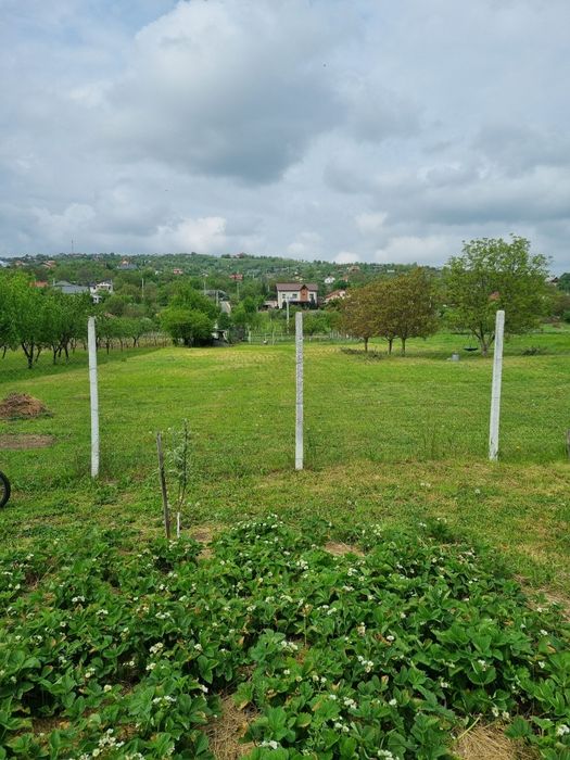 Vand teren Intravilan Tomesti Chicerea. 2 parcele utilitati in zona