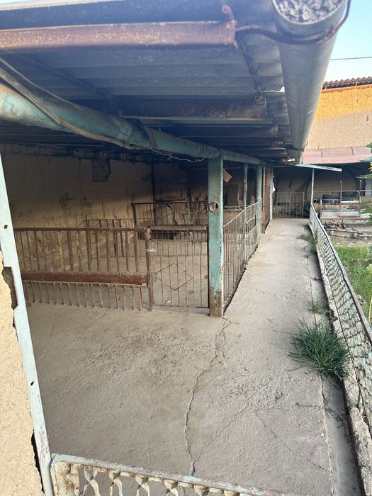 прадается участок 6 соток кибрайский райен ок олтин махаласи канаот ко