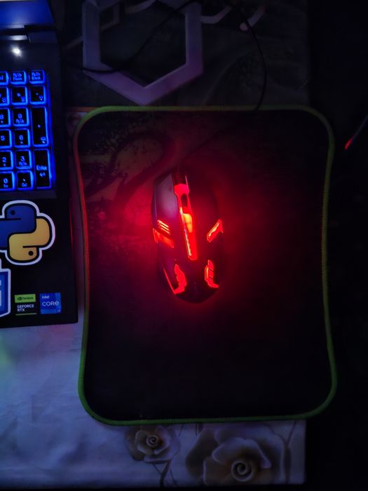 Iphone 5 ili mishka igravoy