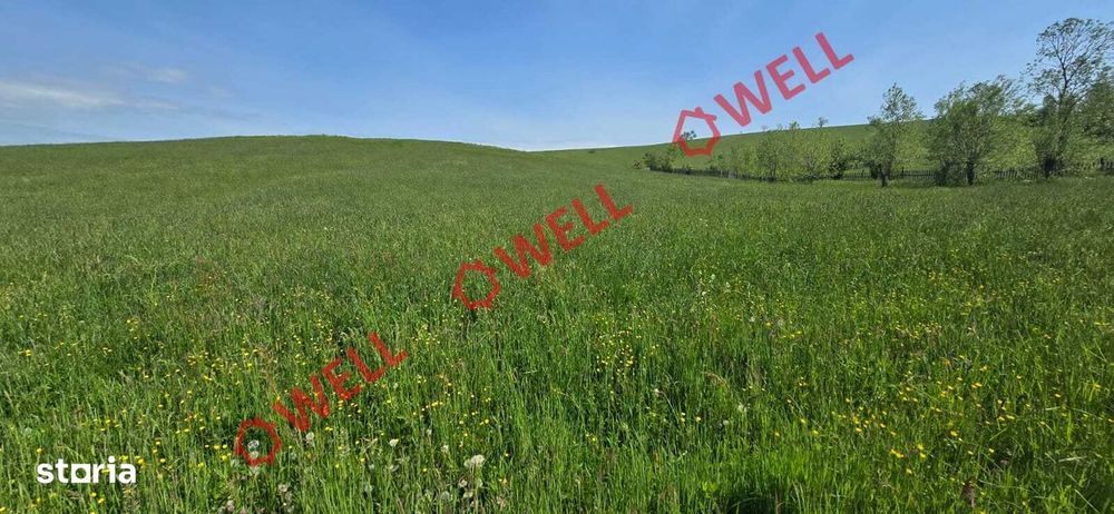 Teren de vânzare în Bărcani, pe strada Bisericii!