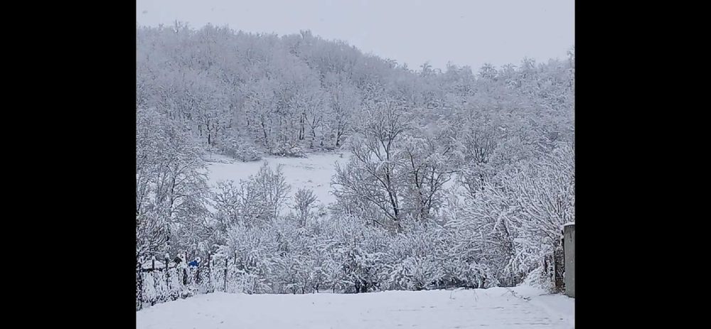 Teren Intravilan Casa 1600