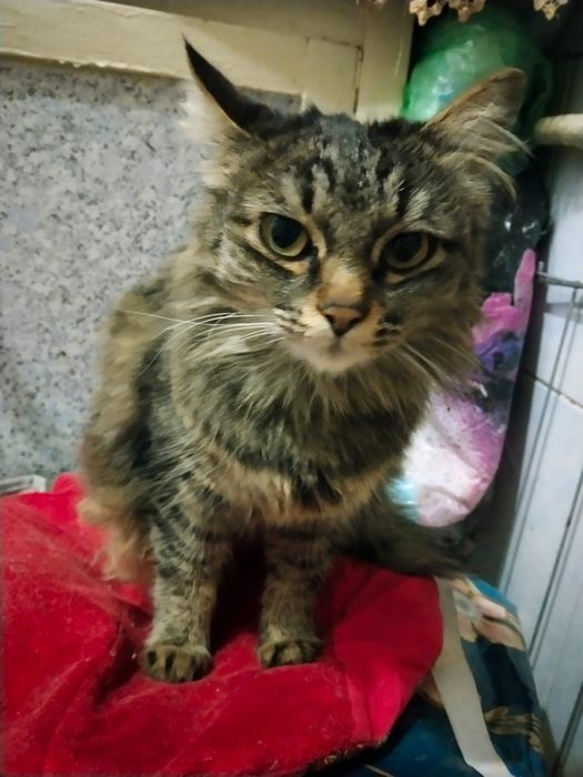 Девочка 5 месяцев