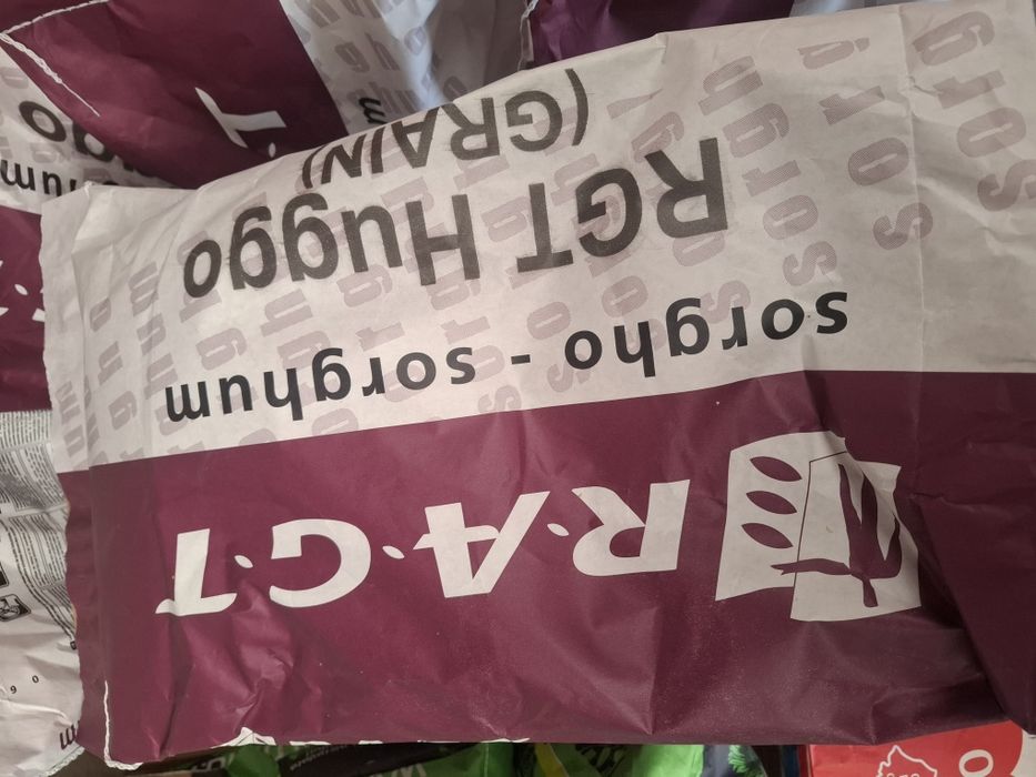 Samanta sorg rosu RAGT