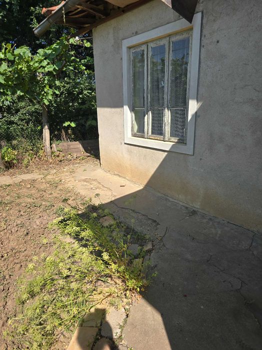 Продава се Къща в с. Калипетрово, Област Силистра - 45 кв.м за 680 €/кв.м - Снимка #21