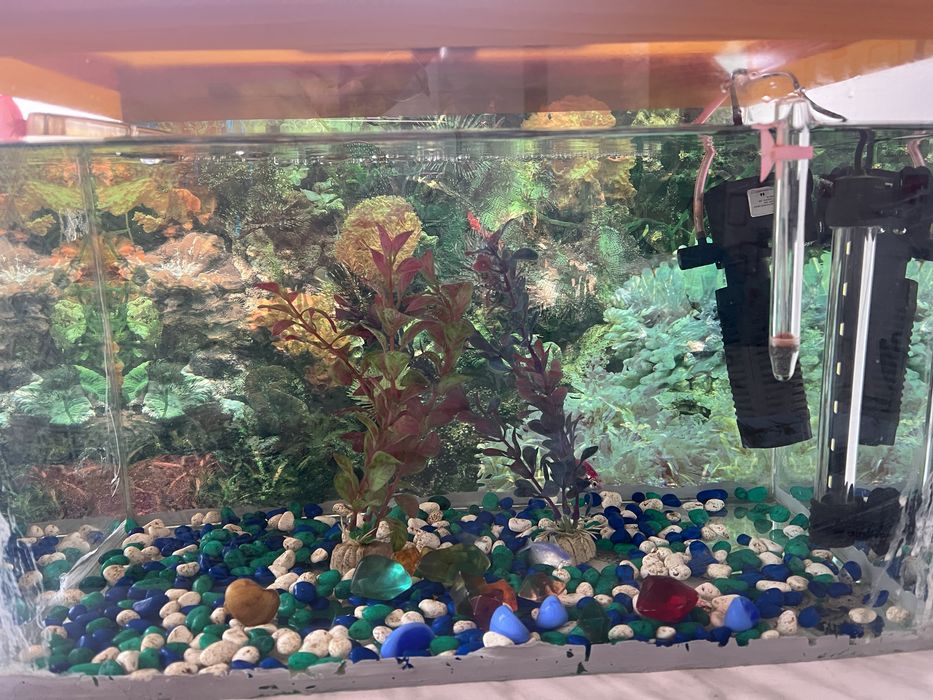 Продам аквариум