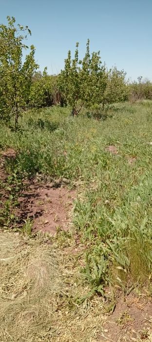 Продам дачу в дачном массиве Никель