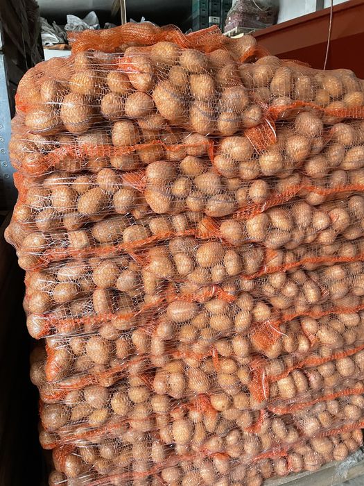 Cartofi rosu si alb la pret foarte convenabil