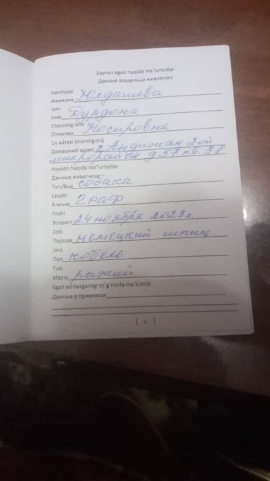 Продаётся Немецкий шпиц