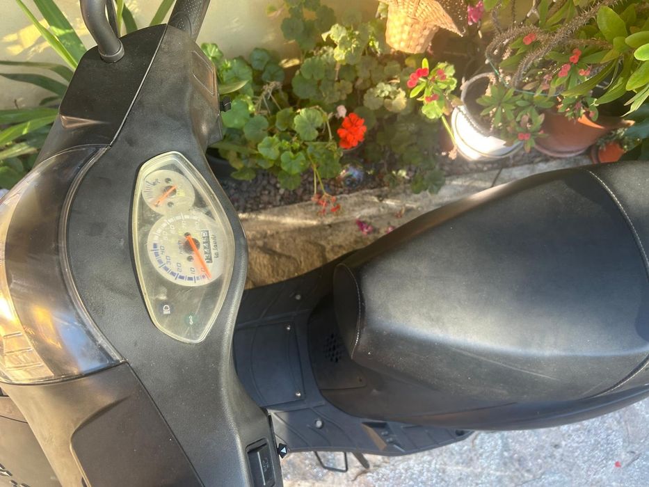 Suter 50cc LaSouris