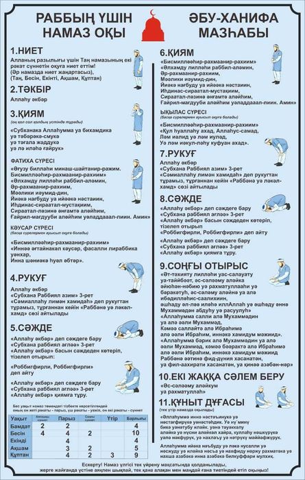 Секс, хардкор эротика, мүшесі және қынап, тегін