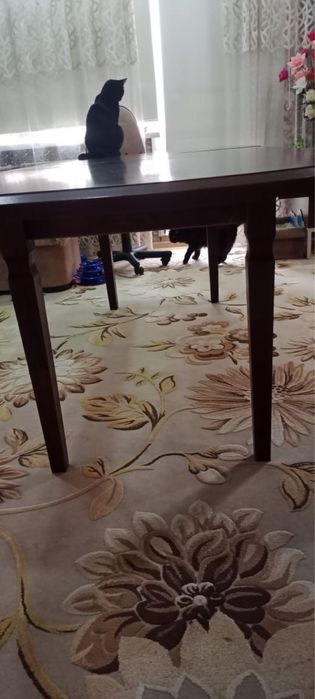 Стол раскладной