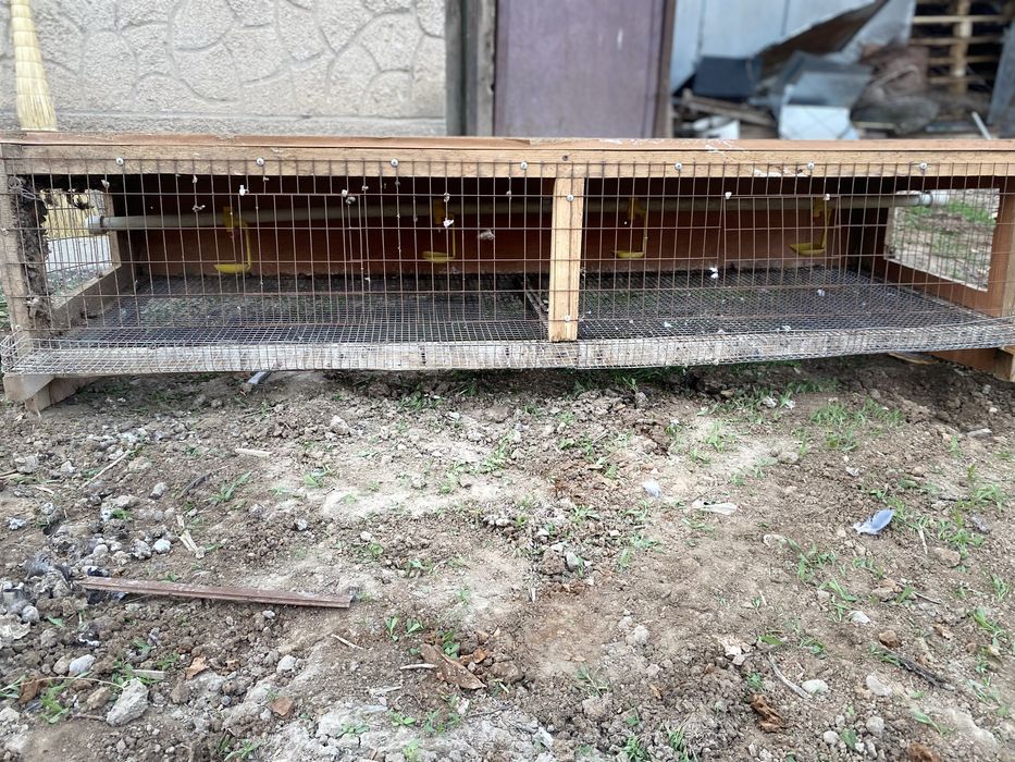 Клетка для перепелок