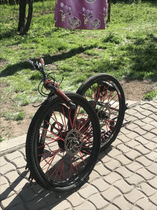 велик стант