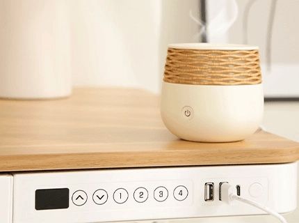 NOU Birou reglabil Flexispot E9W-EU