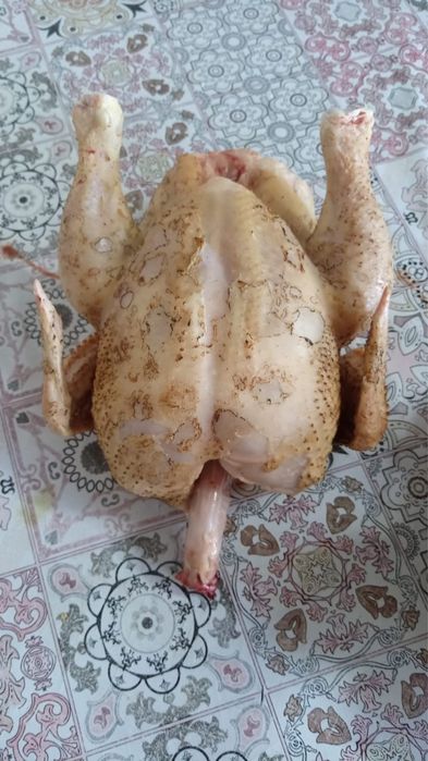 Продам мясо бройлеров