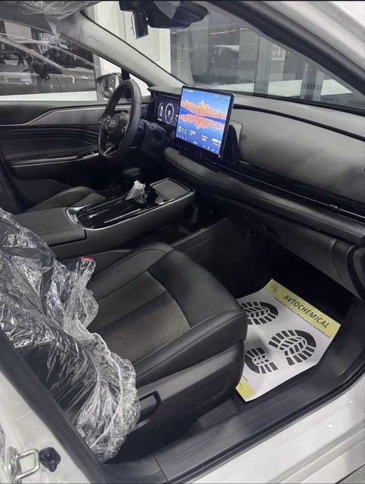 Gac   aion s plus