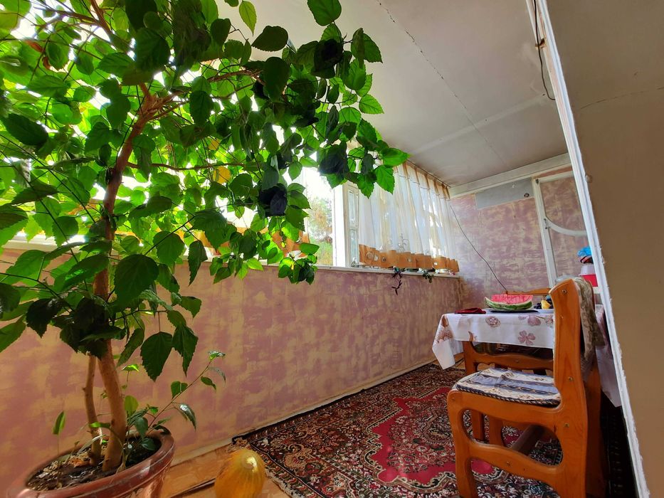 Пятикомнатная квартира. Узбекистанская.