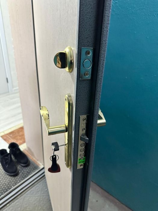 Дверь входная, железная