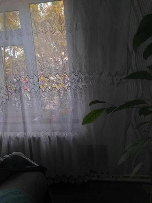 Продаются две  занавески. Цена договорная.