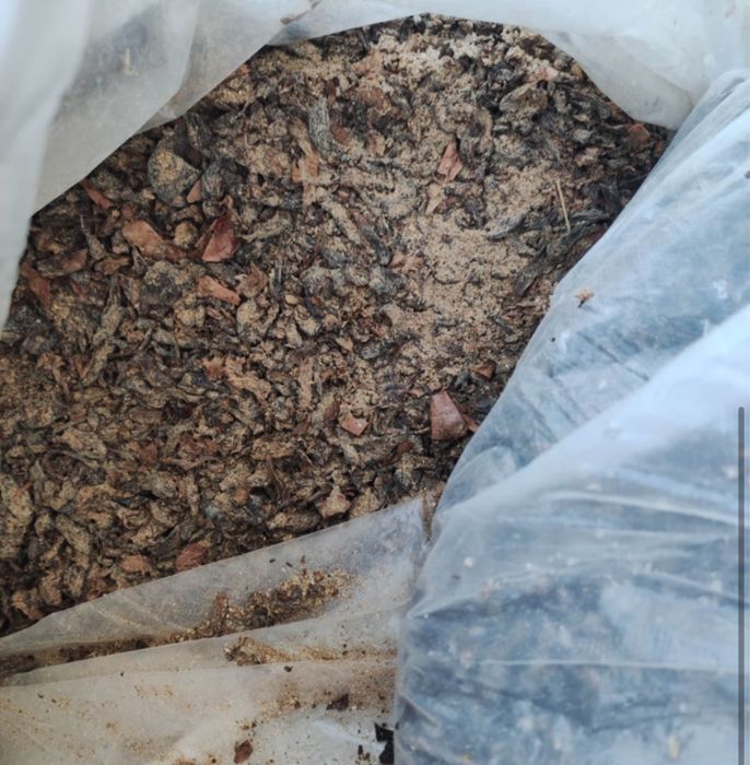 Сушеный лук и свекла мешками